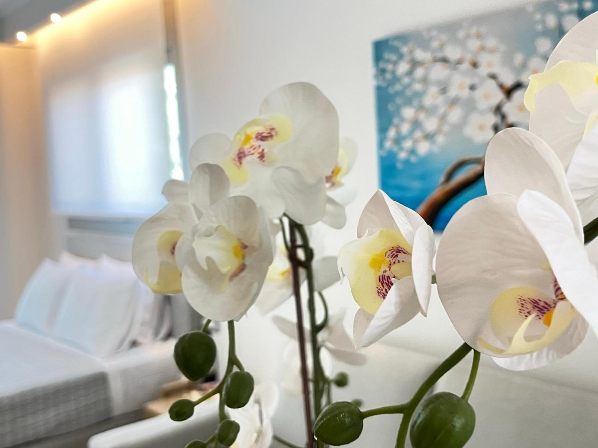 Maison Deluxe Studios And Apartment Parga Extérieur photo