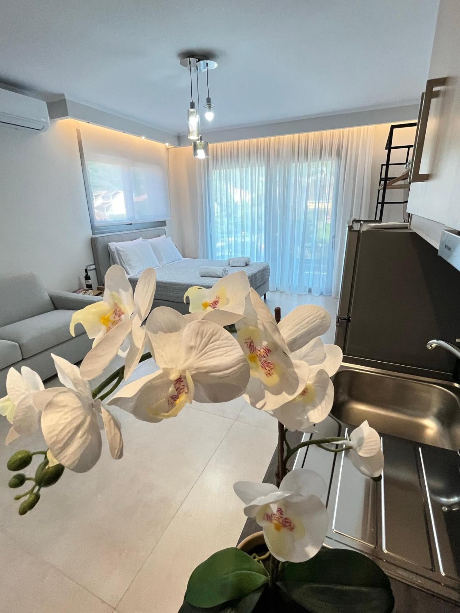 Maison Deluxe Studios And Apartment Parga Extérieur photo