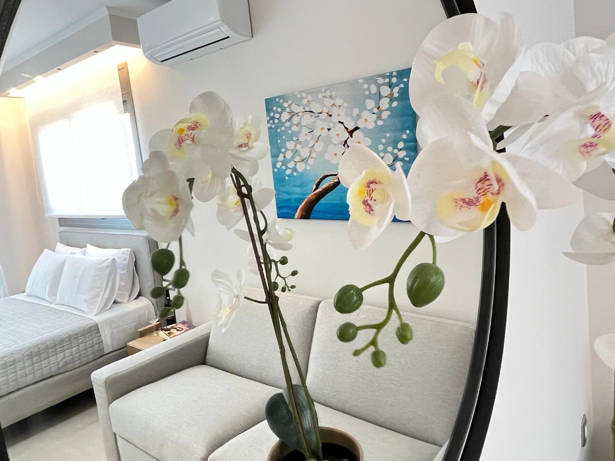 Maison Deluxe Studios And Apartment Parga Extérieur photo